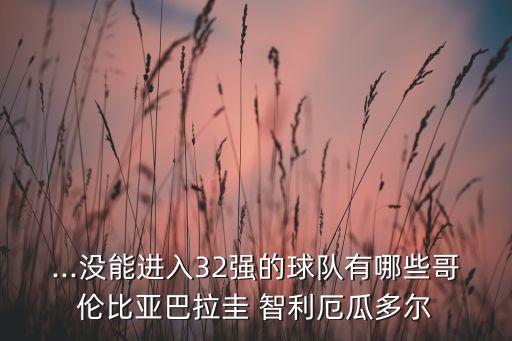 ...沒能進(jìn)入32強(qiáng)的球隊(duì)有哪些哥倫比亞巴拉圭 智利厄瓜多爾