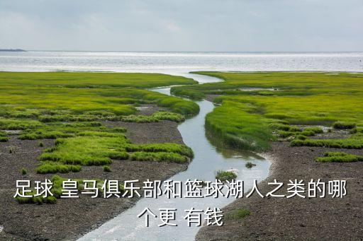 足球 皇馬俱樂部和籃球湖人之類的哪個更 有錢