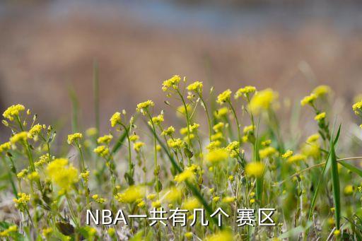 NBA一共有幾個(gè) 賽區(qū)