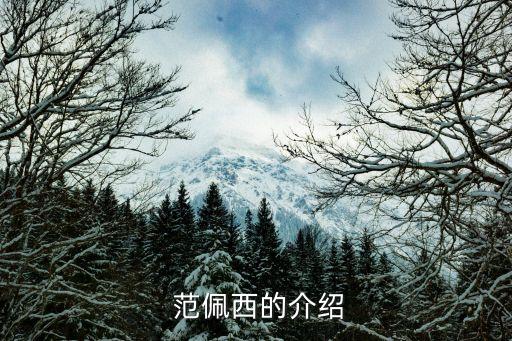 范佩西是哪個(gè)國(guó)家隊(duì)的,范佩西:博格坎普接班人進(jìn)球能力超群