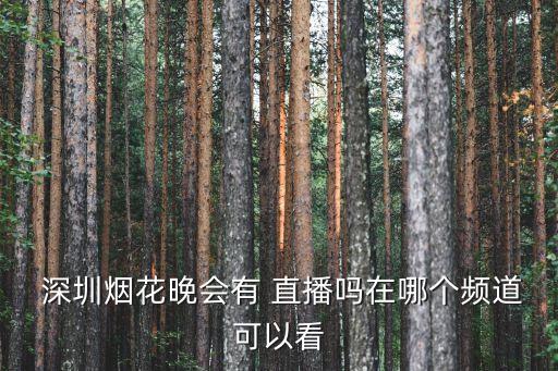  深圳煙花晚會有 直播嗎在哪個頻道可以看