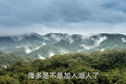 隆多去哪個(gè)隊(duì)了,隆多加盟湖人