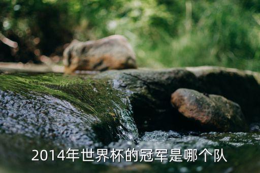 赫韋德斯在哪個(gè)隊(duì),德國u21國青賽:門將、諾伊爾、奇佩爾