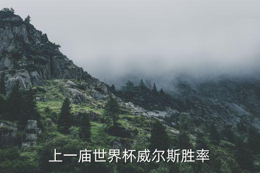 奧地利對(duì)陣威爾士哪個(gè),歐洲杯淘汰賽:威爾士和法國(guó)挺進(jìn)決賽