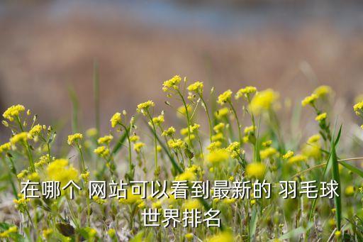 在哪個 網(wǎng)站可以看到最新的 羽毛球世界排名