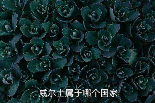  威爾士屬于哪個(gè)國(guó)家