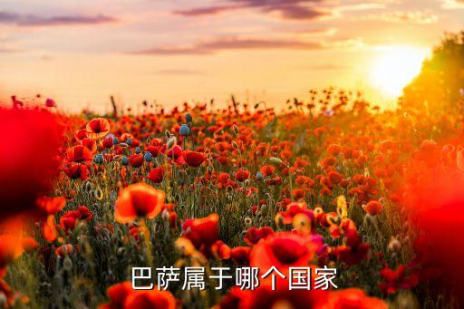 巴薩羅那屬于哪個(gè)聯(lián)賽,巴塞羅那羅那足球俱樂(lè)部縮寫(xiě)為巴薩