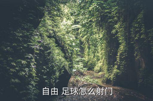  自由 足球怎么射門(mén)