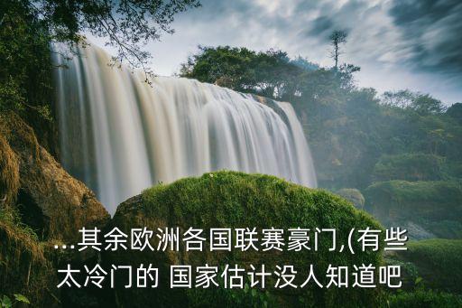 ...其余歐洲各國聯賽豪門,(有些太冷門的 國家估計沒人知道吧
