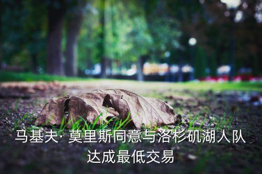 莫里斯在哪個(gè)球隊(duì),馬科夫留隊(duì)洛杉磯火箭隊(duì)尋求與馬庫(kù)斯復(fù)合