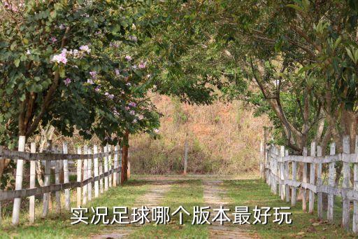 實況18fifa18哪個好,直播學(xué)堂（四）:體育精神