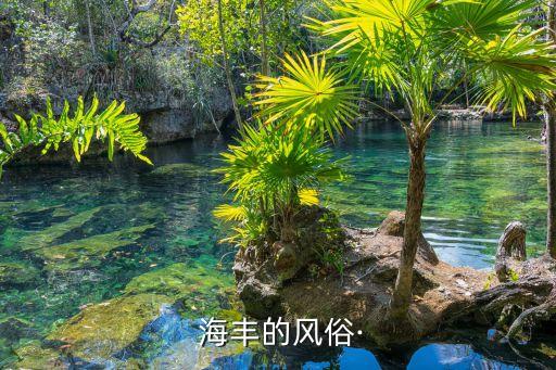 海豐的龍舟賽哪個臺直播？,端午與粽子、賽艇龍舟的故事