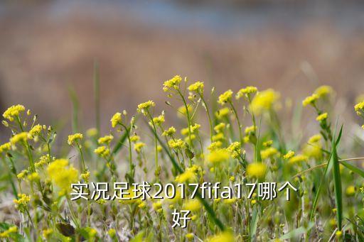 實(shí)況17哪個(gè)補(bǔ)丁好,我國(guó)足球聯(lián)賽新賽季開(kāi)賽我國(guó)男隊(duì)奪冠