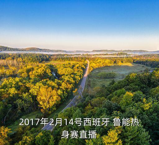2017年2月14號西班牙 魯能熱身賽直播