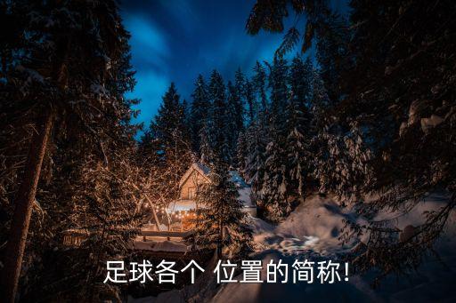 足球各個(gè) 位置的簡(jiǎn)稱!