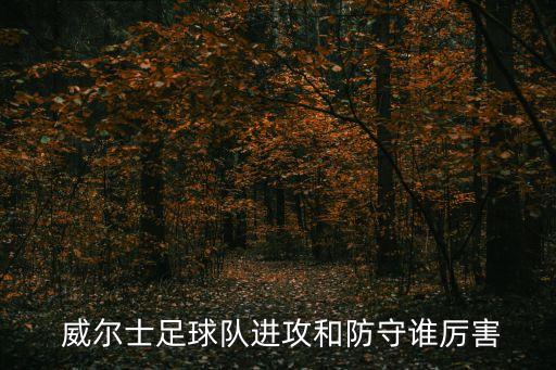  威爾士足球隊(duì)進(jìn)攻和防守誰(shuí)厲害