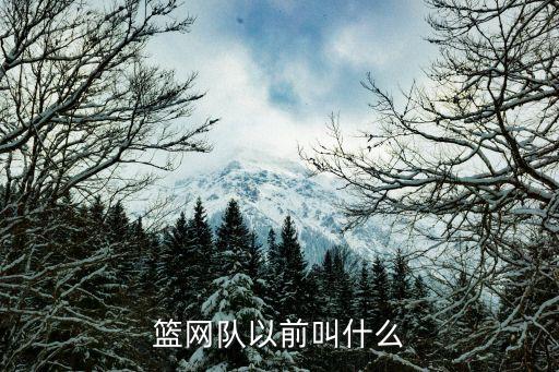 布魯克林哪個球隊,nba布魯克林籃網(wǎng):林書豪坐鎮(zhèn)球隊