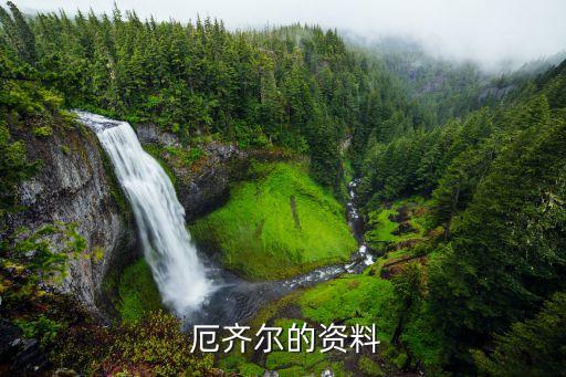 厄齊爾效力哪個俱樂部,前足壇球員厄齊爾轉會巴甲皇馬競技