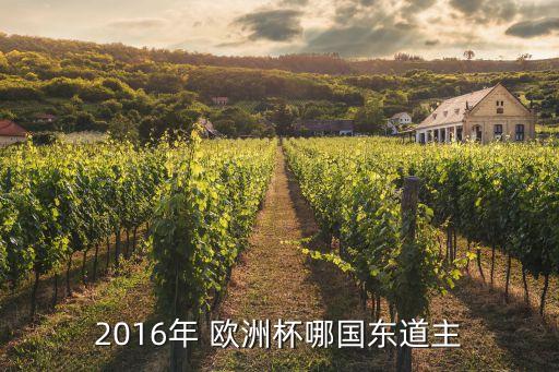 2016年 歐洲杯哪國(guó)東道主