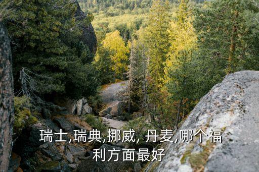  瑞士,瑞典,挪威, 丹麥,哪個(gè)福利方面最好