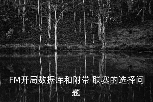 fm 玩哪個聯(lián)賽,足壇消息:英超和西甲聯(lián)賽吸引不少玩家
