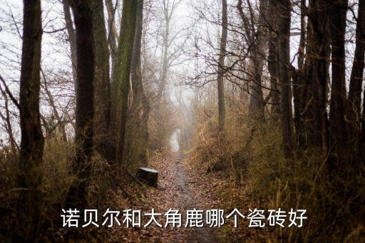  諾貝爾和大角鹿哪個(gè)瓷磚好