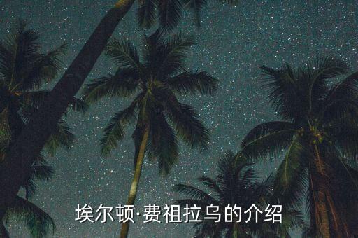 佐加頓斯是哪個(gè)球隊(duì),中超球隊(duì)大連超越足球俱樂(lè)部升級(jí)聯(lián)賽