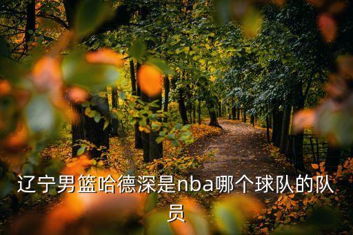 哈德森來(lái)cba先到哪個(gè)隊(duì),nba球星哈德森與快船簽約10天