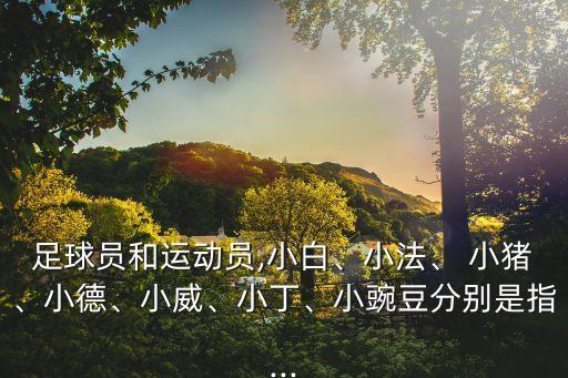 德國隊小豬是哪個隊,男子網(wǎng)球我國選手小威小丁雙喜臨門