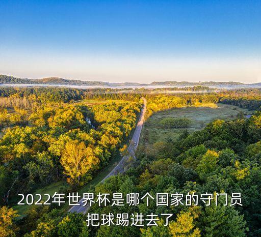 2022年世界杯是哪個(gè)國家的守門員把球踢進(jìn)去了
