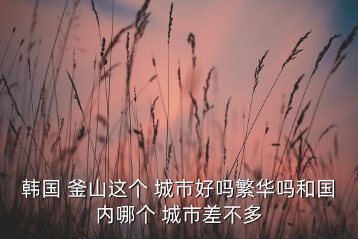 韓國 釜山這個 城市好嗎繁華嗎和國內(nèi)哪個 城市差不多