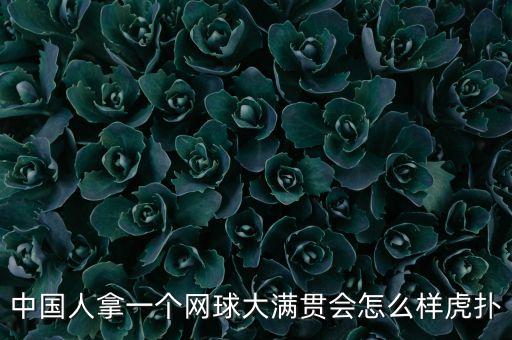 中國(guó)人拿一個(gè)網(wǎng)球大滿貫會(huì)怎么樣虎撲