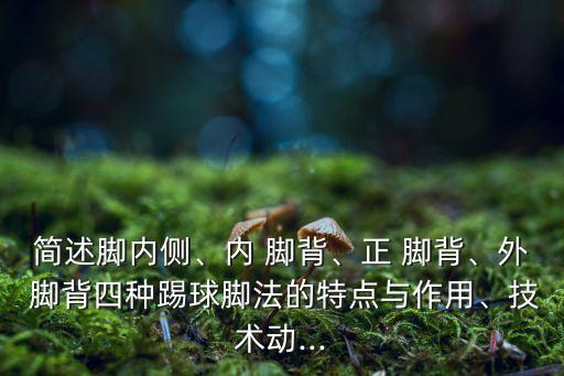 簡(jiǎn)述腳內(nèi)側(cè)、內(nèi) 腳背、正 腳背、外 腳背四種踢球腳法的特點(diǎn)與作用、技術(shù)動(dòng)...