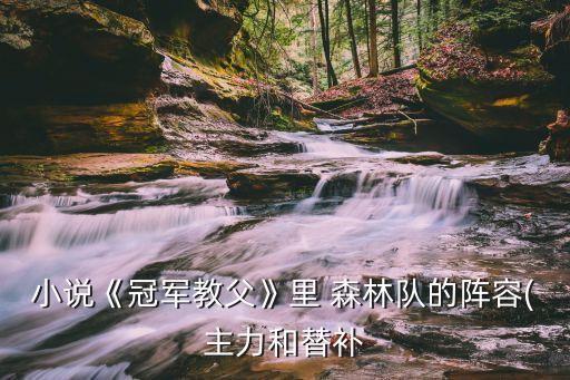 小說《冠軍教父》里 森林隊(duì)的陣容(主力和替補(bǔ)