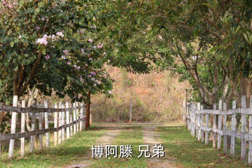 博阿滕兄弟哪個厲害,凱文普林斯博阿滕轉會拜仁加納國腳