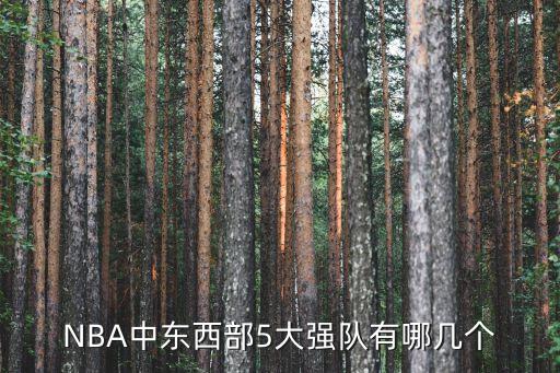 凱爾特人公牛哪個(gè)厲害,騎士、詹偉、哈登率隊(duì)進(jìn)入總決賽