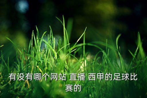 有沒有哪個(gè)網(wǎng)站 直播 西甲的足球比賽的