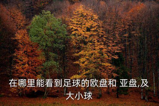 亞盤看哪個公司,足壇消息:歐賠支持平手亞盤高峰下注將是強平