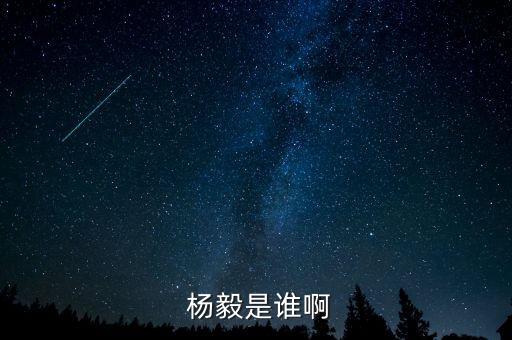  楊毅是誰(shuí)啊