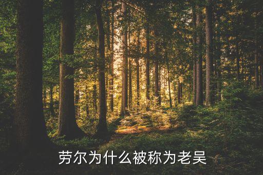 勞爾是哪個(gè)國(guó)家的,勞爾加盟卡塔爾阿爾薩德足球俱樂部