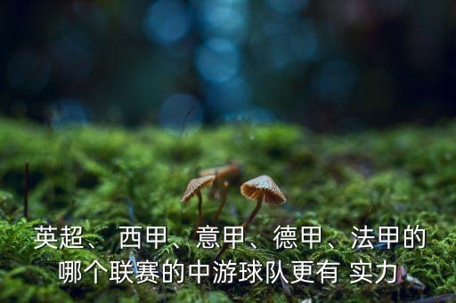  英超、 西甲、意甲、德甲、法甲的哪個聯(lián)賽的中游球隊更有 實力