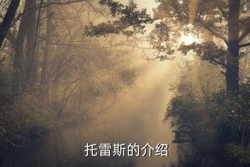 托雷斯哪個賽季好,歐冠杯:拜仁慕尼黑隊托雷斯是最大熱門球員