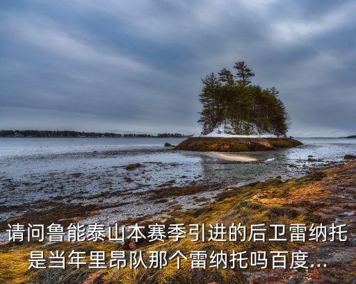 請(qǐng)問(wèn)魯能泰山本賽季引進(jìn)的后衛(wèi)雷納托是當(dāng)年里昂隊(duì)那個(gè)雷納托嗎百度...