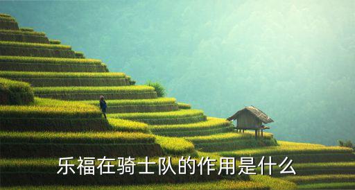 樂(lè)福在騎士隊(duì)的作用是什么