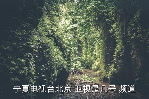 寧夏電視臺北京 衛(wèi)視是幾號 頻道
