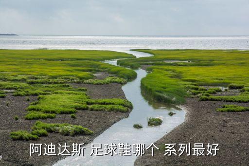 阿迪達(dá)斯 足球鞋哪個 系列最好