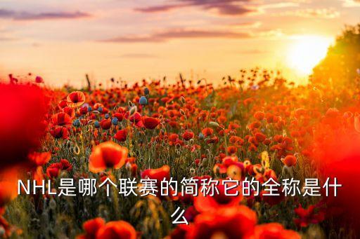 khl nhl哪個厲害,全球十支球隊正式成立聯(lián)隊