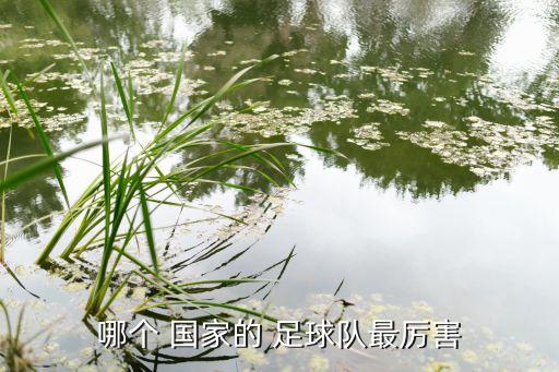 哪個(gè)國(guó)家足球好,足壇消息:世界足球聯(lián)賽:巴西奪冠韓國(guó)奪冠