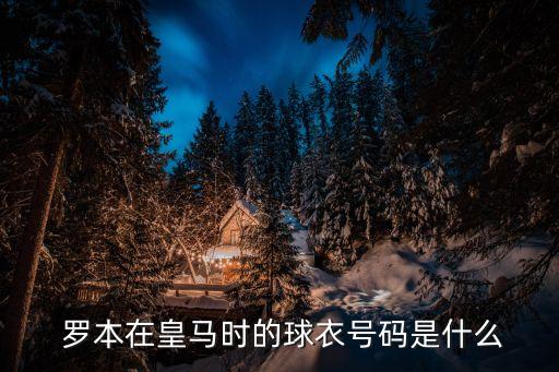 羅本未曾在哪個俱樂部,在切爾西獲得榮譽(yù)羅本在皇馬隊(duì)效力