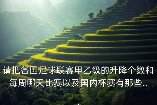 葡超和葡甲哪個(gè)級(jí)別高,意甲聯(lián)賽:葡萄牙杯冠軍球隊(duì)降級(jí)至甲超